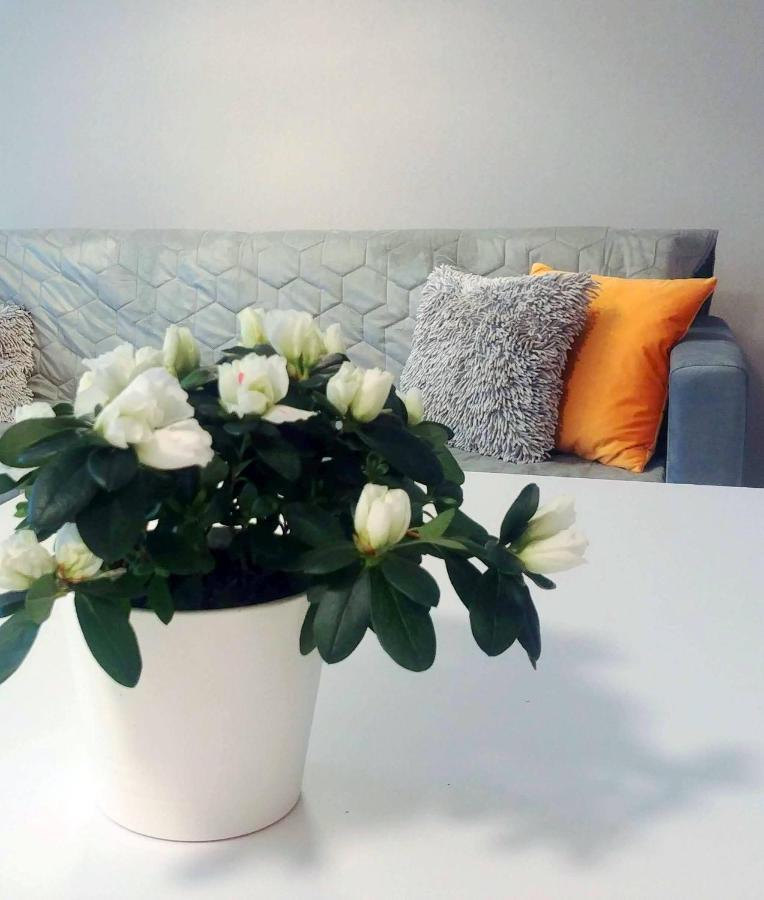 Bel Mare Wyspa, Apartament Z Parkingiem Gratis Miedzyzdroje Εξωτερικό φωτογραφία